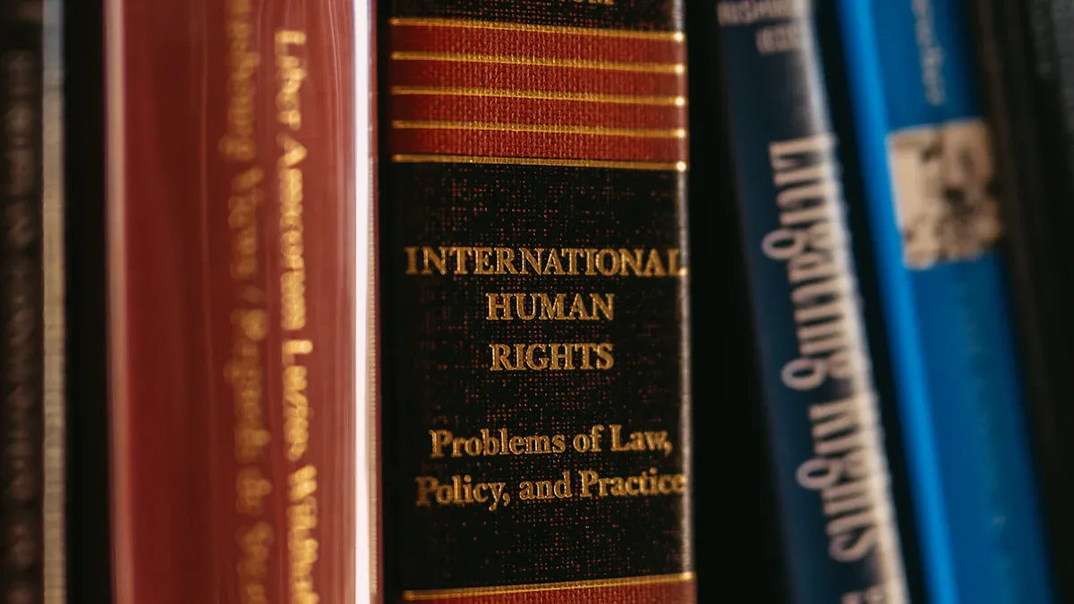 Proteja sus creaciones de trajes de baño mediante prácticas seguras de propiedad intelectual